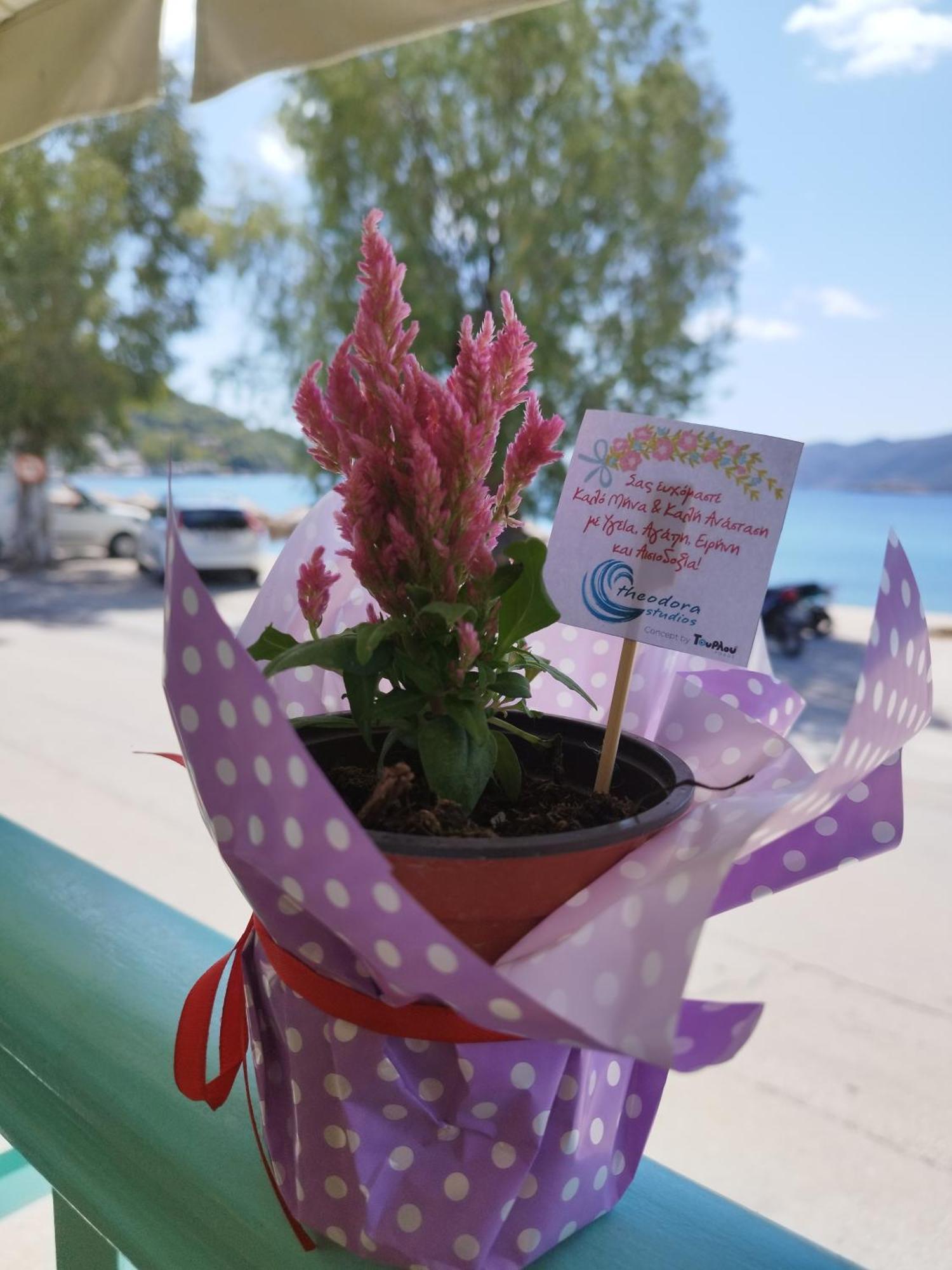 Theodora Rooms Poros Town Zewnętrze zdjęcie
